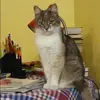 Отзыв от Диана Воронкова